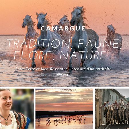 La Perle Marine * Plage A 15 Min * Parking Prive * Literie Confortable La Grande-Motte Eksteriør bilde